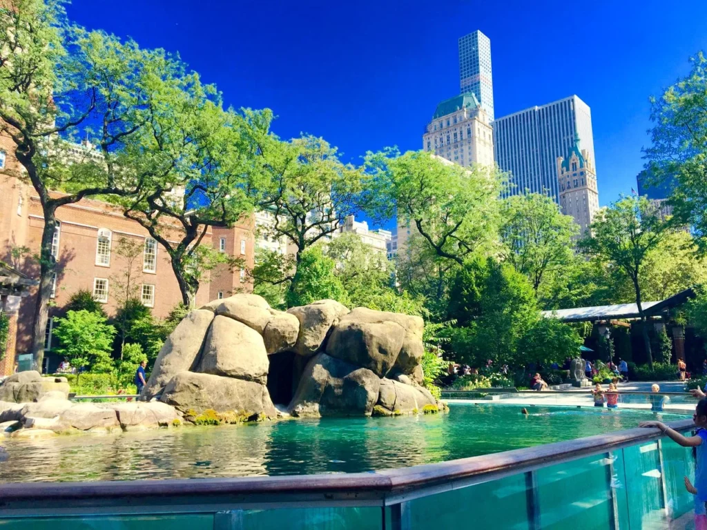 central park zoo