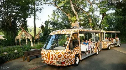 tram ride in singapore zoo